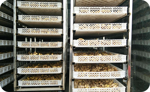 先進技術  質量保障