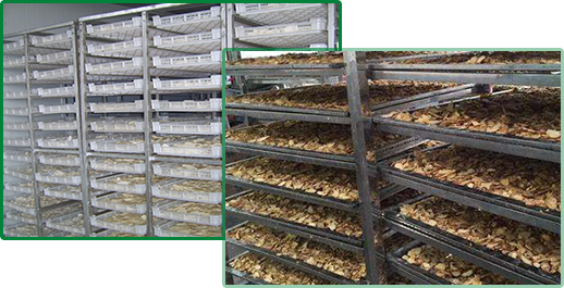 穩定客戶群體,快速發貨